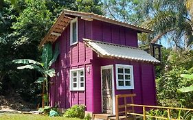 Violeta Aquarela Bombinhas