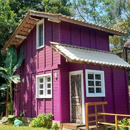 Violeta Aquarela Bombinhas Exterior foto