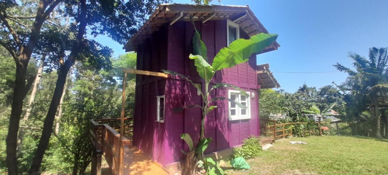 Violeta Aquarela Bombinhas Exterior foto